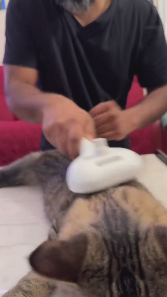pob3 (online-video-cutter.com).mp4