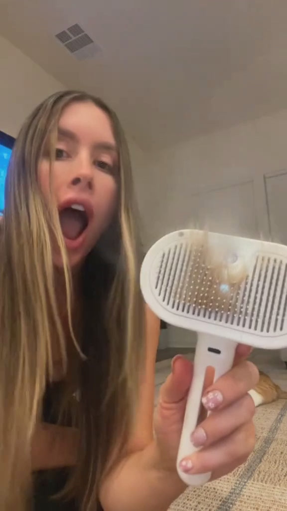 pb2 (online-video-cutter.com).mp4